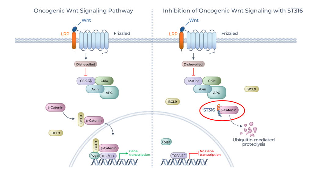 ST316 - Sapience Therapeutics