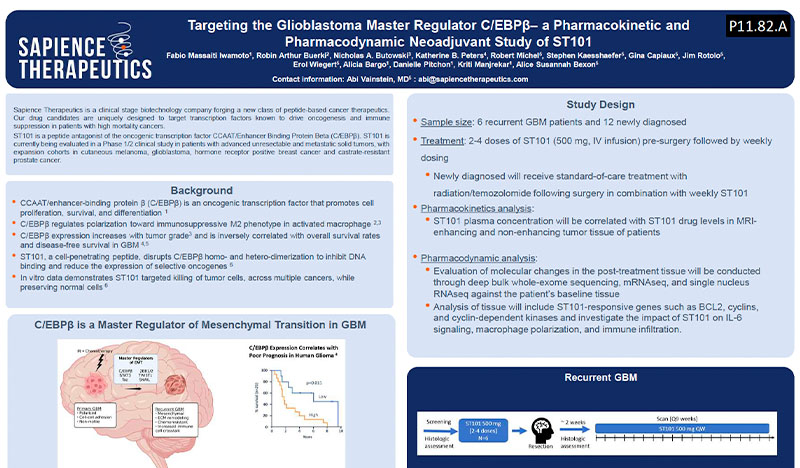 Targeting the Glioblastoma Master Regulator C/EBPβ– a Pharmacokinetic and Pharmacodynamic Neoadjuvant Study of ST101