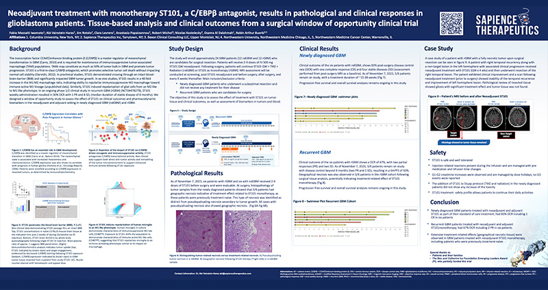 Neoadjuvant treatment with monotherapy ST101, a C/EBPβ antagonist, results in pathological and clinical responses in glioblastoma patients. Tissue-based analysis and clinical outcomes from a surgical window of opportunity clinical trial