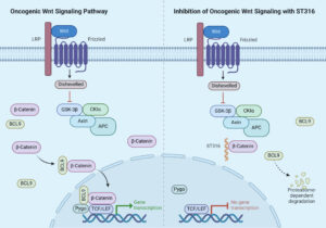 ST316 - Sapience Therapeutics
