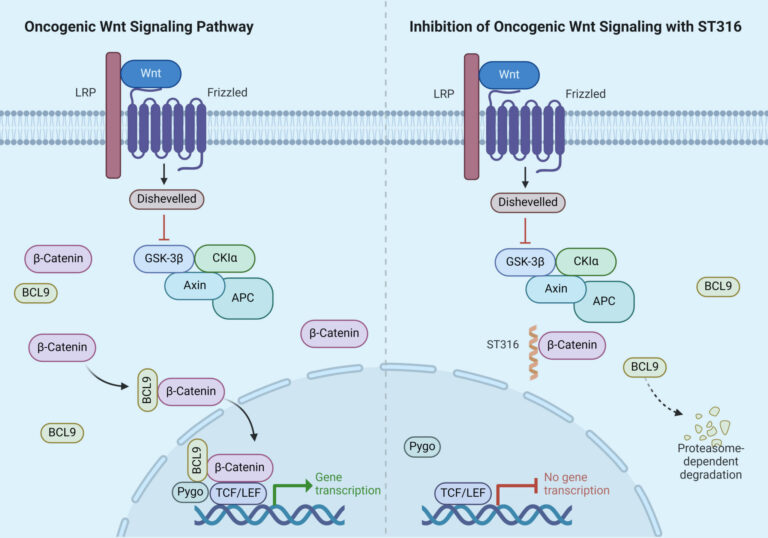 ST316 - Sapience Therapeutics